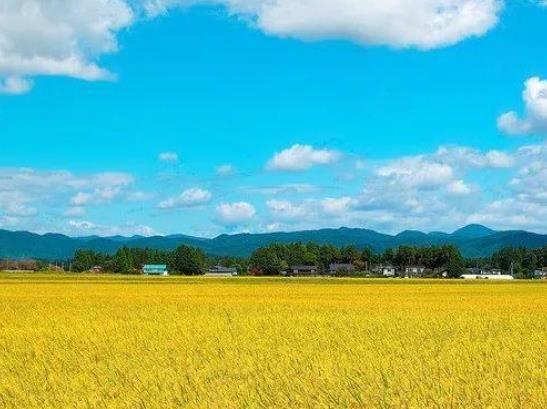 海南省农业开发优秀企业推荐 引领热带特色农业新风向