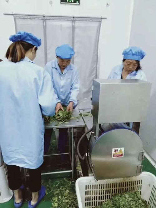 农业开发部7月1日工作汇总