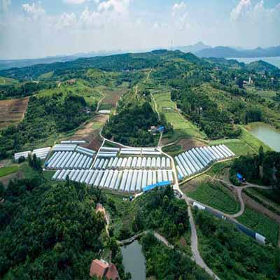 智慧农业综合开发项目实施方案 现代智慧蔬菜大棚建设公司